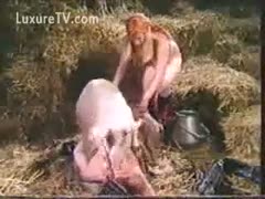 Two bitches making out with a large boar